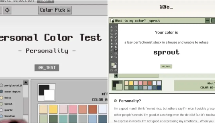 The New TikTok Color Personality Test Will Blow Your Mind! - Correlsense